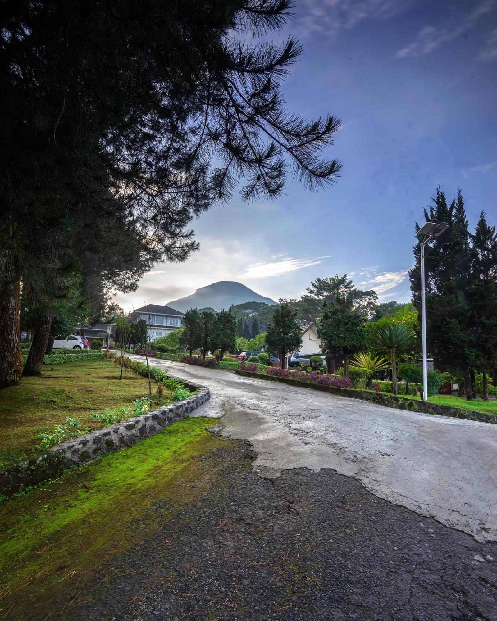 Tambi Tea Resort Kejajar Екстер'єр фото
